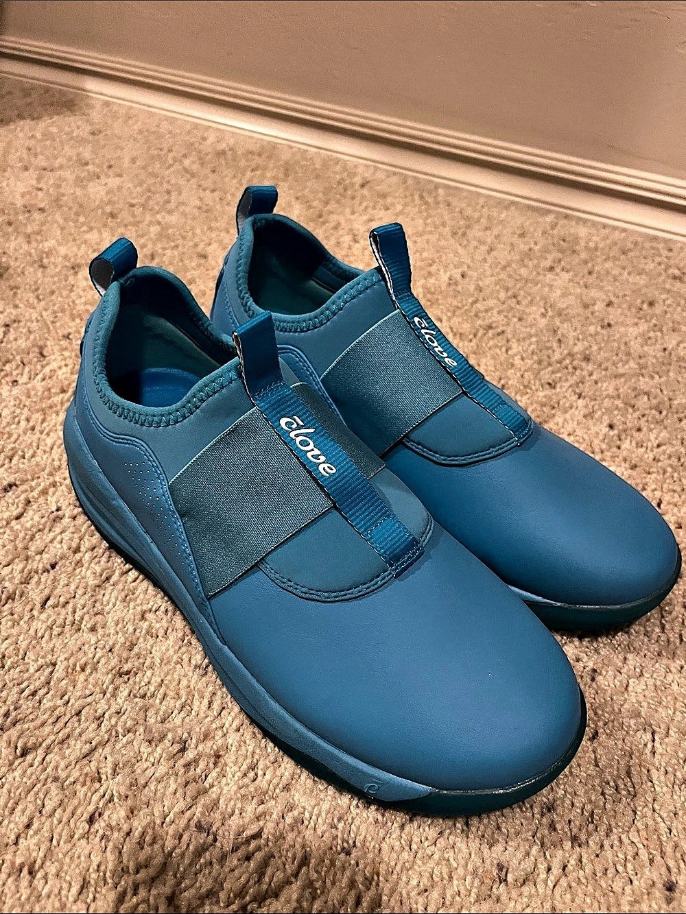 Clove Blue Sneakers Like New